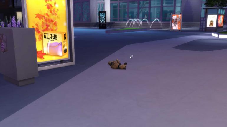 Los Sims 4 Gatos Y Perros Cómo Adoptar Una Mascota Mundoplayers